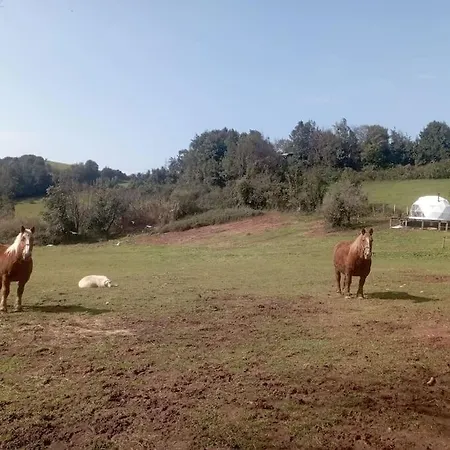 Domo Con Estufa Luxury tent Gijon